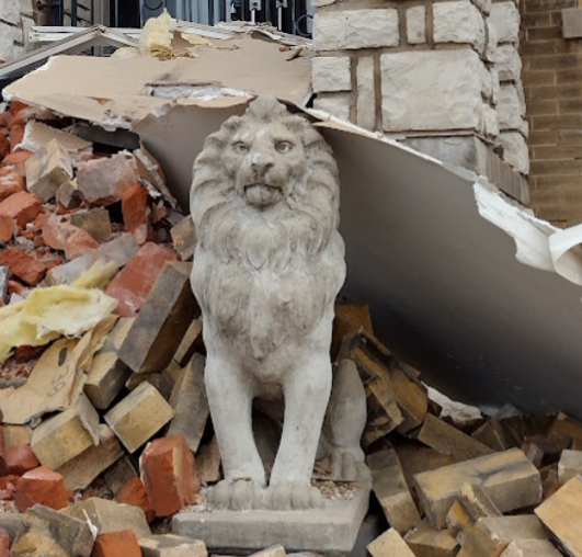Lion in rubble